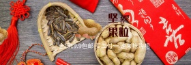 坚果大派送淘宝banner