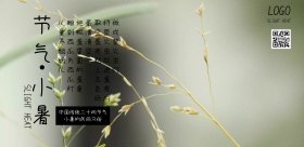 简约小清新二十四节气小暑民间习俗海报模板