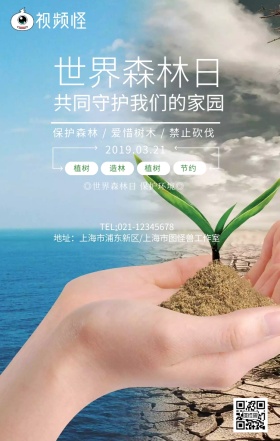 绿色清新世界森林日公益宣传海报
