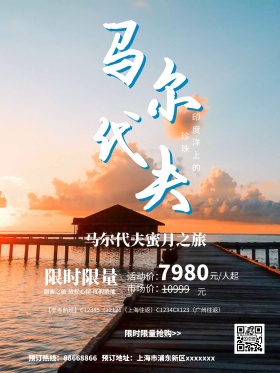 夏日马尔代夫旅游海洋蓝色简约商业海报设计