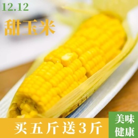 玉米美食双十二淘宝促销简约直通车海报