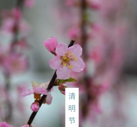 蓝色卡通节气清明红包朋友圈封面
