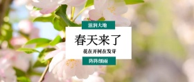 春天来了 阵阵细雨 滋润大地 花在开树在发芽 春季春天你好公众号封面