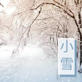 蓝色简约大气小雪节气公众号封面小图