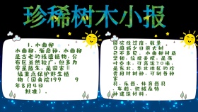 珍稀树木小报手抄报