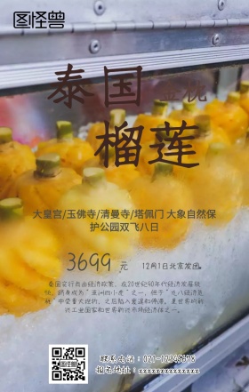 泰国曼谷手机旅游海报