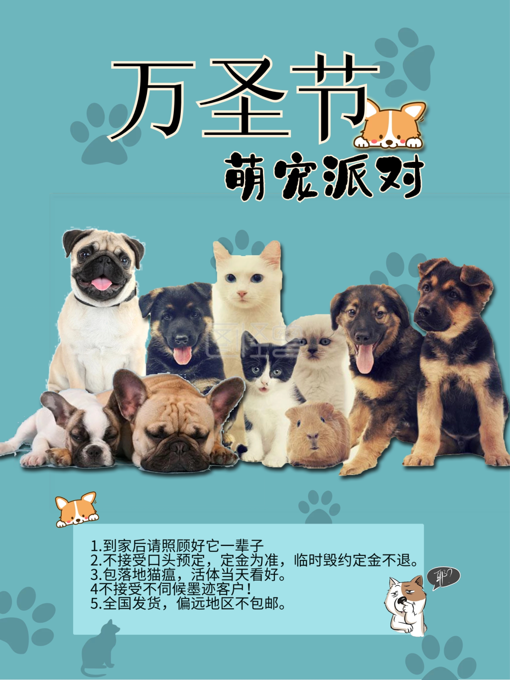 圣诞萌宠蓝色派对海报