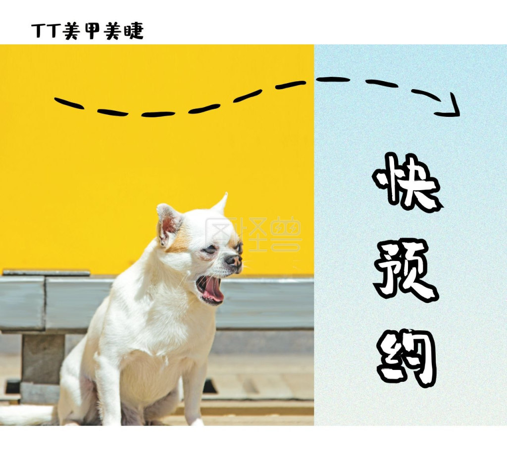 预约宠物宣传黄色蓝色清新朋友圈封面
