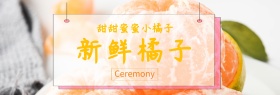 橘子促销banner模板