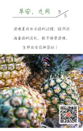 海滩阶梯日签