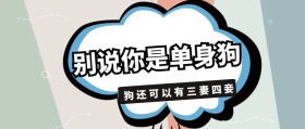 别说你是单身狗 狗还可以有三妻四妾 毒鸡汤公众号封面