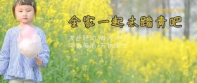 春分民俗科普春游踏青绿色公众号封面