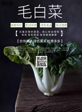 简约风格毛白菜促销海报
