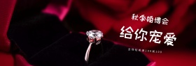 粉色婚博会给你宠爱淘宝海报banner电商天猫