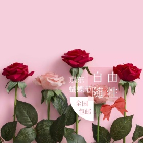 京东蝴蝶节美妆粉色简约淘宝主图