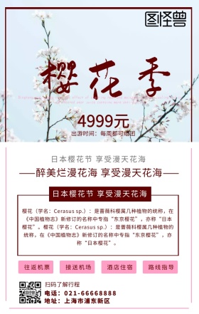 婴花粉色樱花季节简约海报
