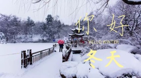 你好冬天公众号封面