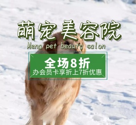 萌宠宠物可爱动物朋友圈封面