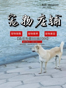 可爱宠物店铺宠物美容海报
