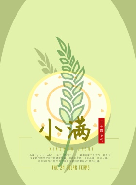 简约二十四节气节气中国传统小满海报