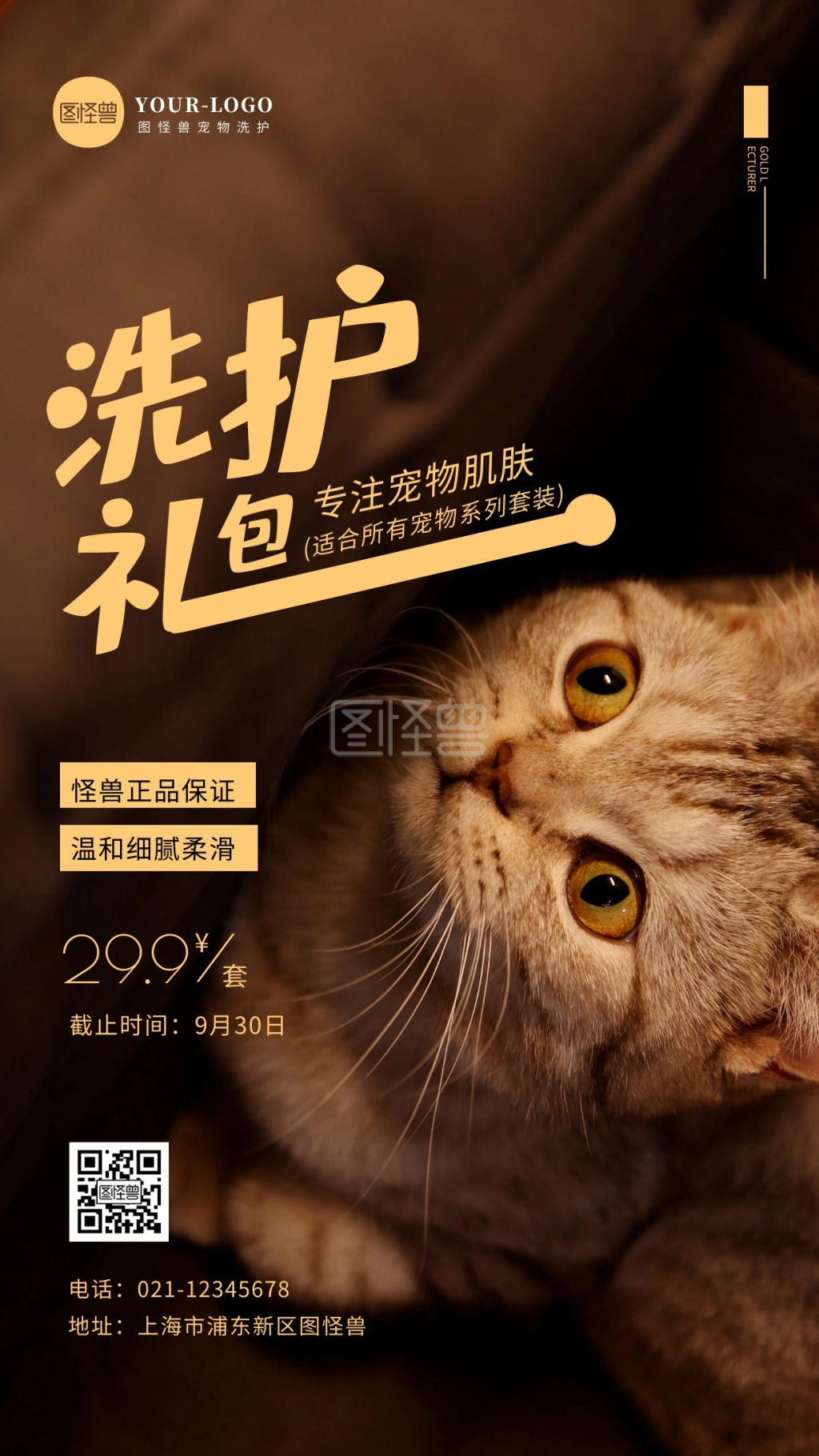 宠物洗护礼包金黄色创意摄影图海报