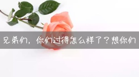 返乡想念部队兄弟主题公众号封面