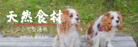 棕色简约木板狗粮猫粮宠物电商banner