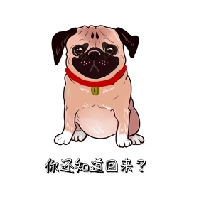 狗狗表情包