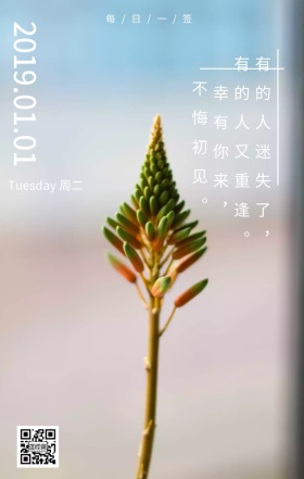 简约小清新鸡汤日签
