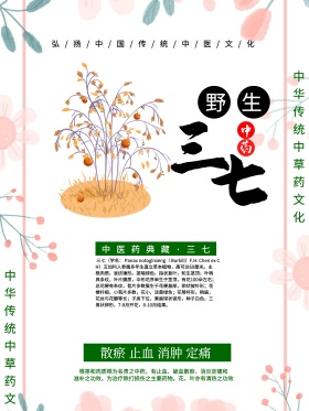 中国风中草药野生三七海报宣传设计