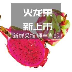 红龙果简约淘宝水果主图直通车