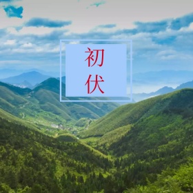 初伏节气夏日蓝天配图