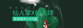 绿植盆栽粉丝狂欢节banner图片