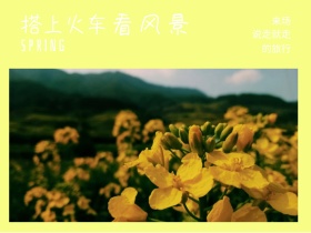来场 看风景 的旅行 搭上火车 说走就走 SPRING 春天春季春游景色油菜花公众号配图