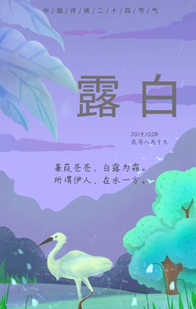 白露荷花节气绿色简约水墨日签