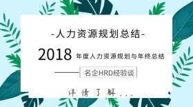 2018年度人力资源规划与年终总结