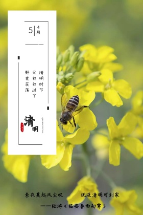 清明节二十四节气蜗牛绿色竖版配图