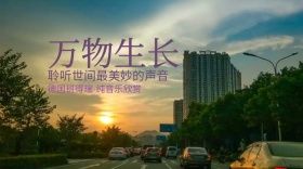纯音乐红包公众号封面