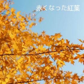 日式建筑手机微博封面