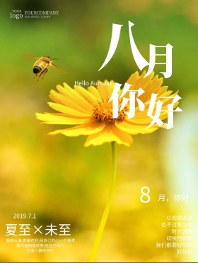 文艺小雏菊八月你好海报