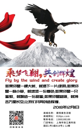 企业文化雄鹰