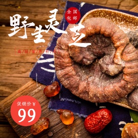 电商淘宝天猫京东聚划算灵芝主图直通车PSD模版特产淘宝主图