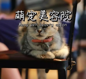 萌宠美容院