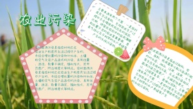 简约宣传环保农业污染手抄报