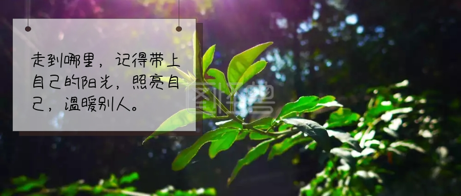 向日葵公众号封面