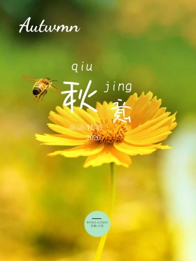 秋季文艺红包配图海报