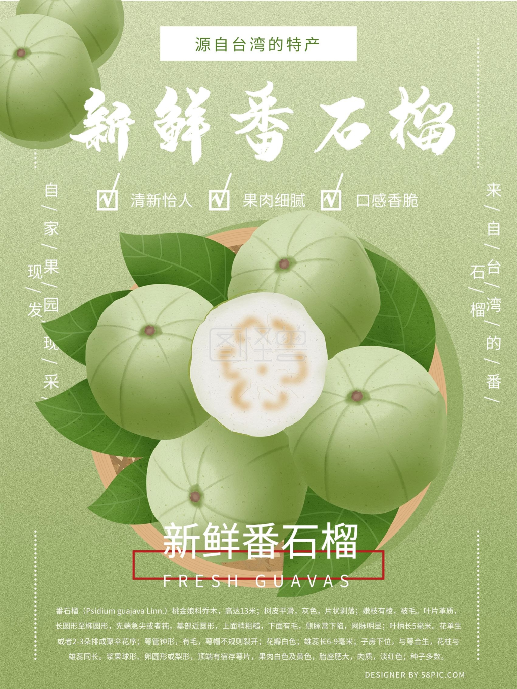 原创手绘小清新新鲜番石榴海报