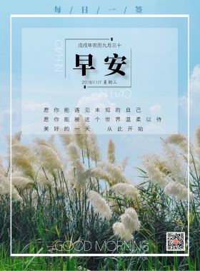 2018早安你好芦苇摇曳日签