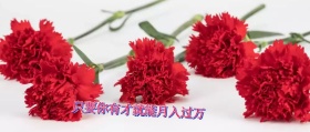 2019春节校园招聘