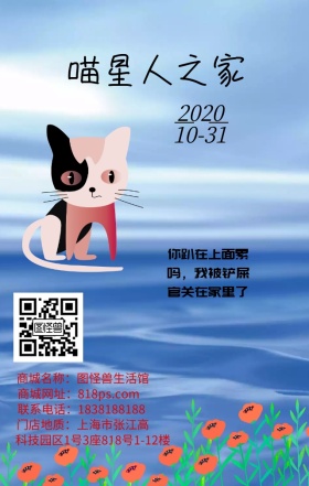 追逐小鱼干的喵星人